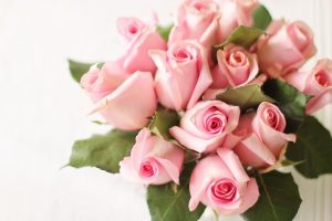 bouquet of pink roses