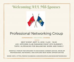 Military Spouse Professional Networking Group flyer